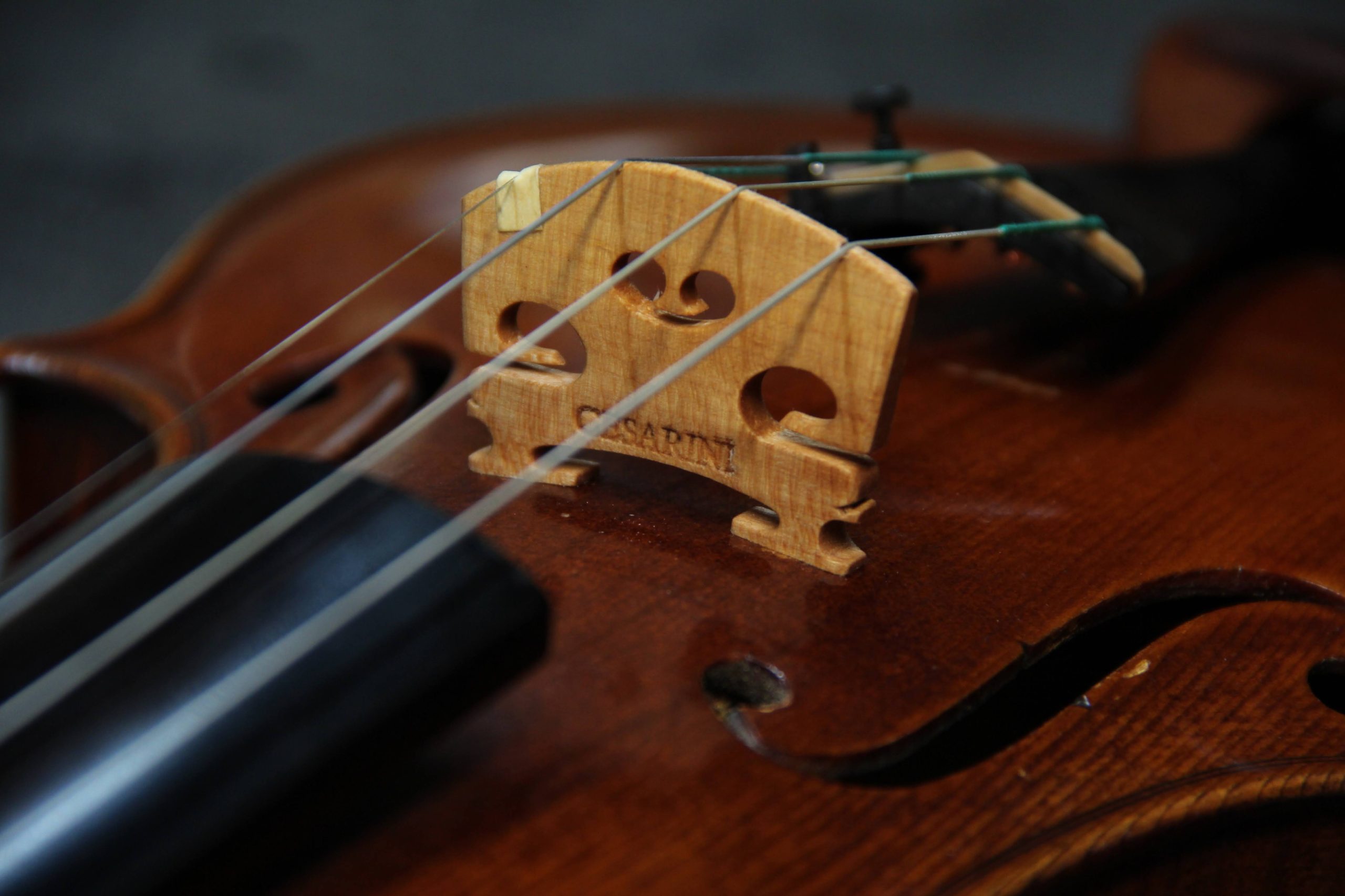 accessori per violino