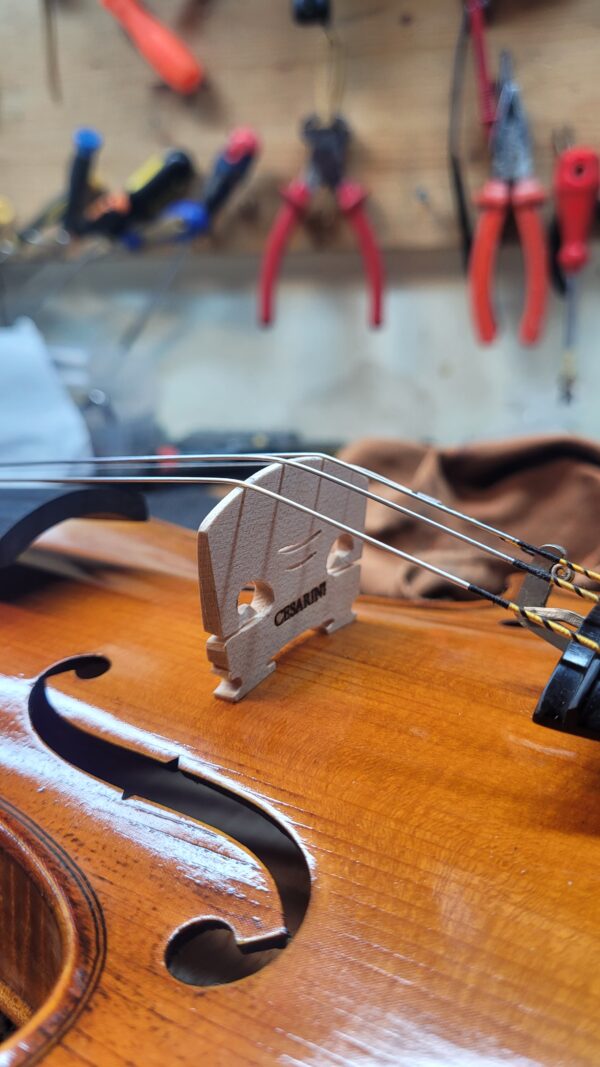 ponticello per violino roman